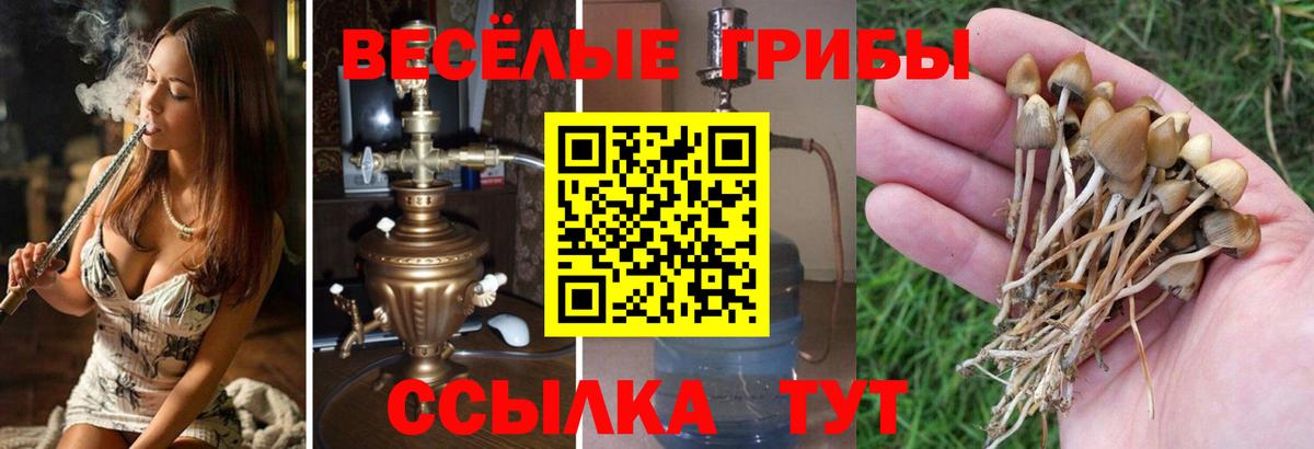 Галлюциногенные грибы Magic Shrooms Протвино